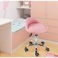 Pink Adjustable Salon Stool Chair
