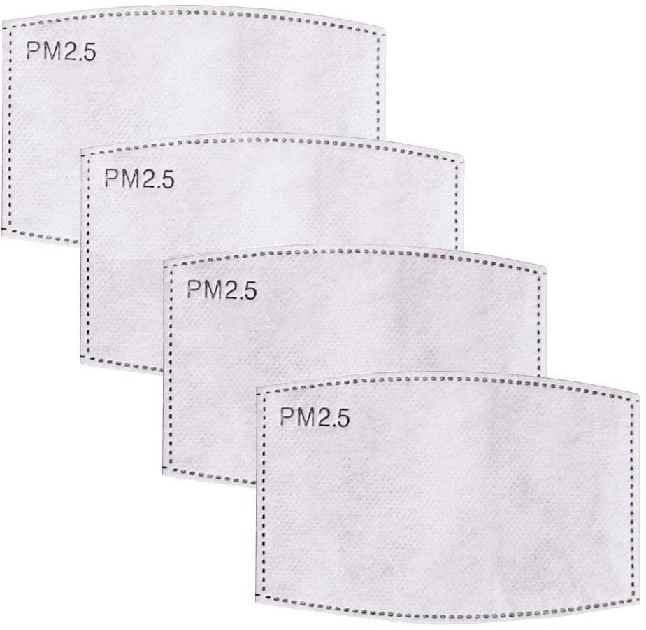 PM 2.5 CARBON FILTER - 1 PCS